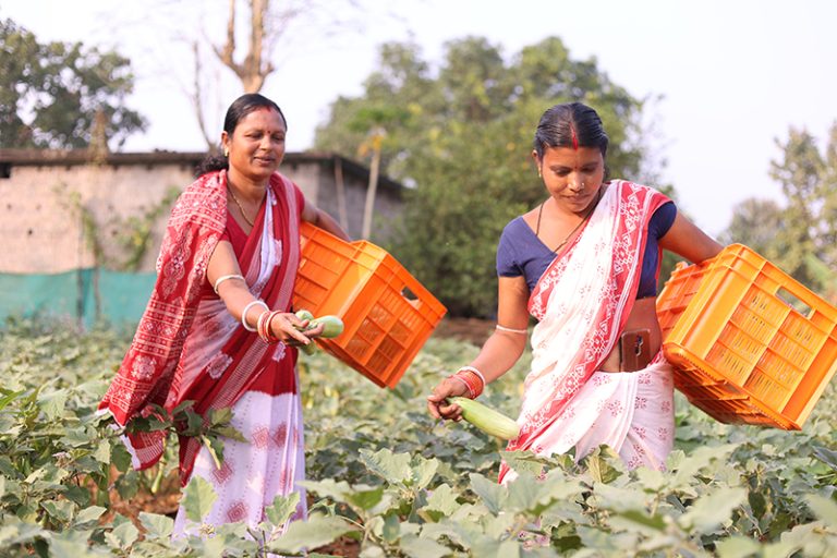 Agriculture