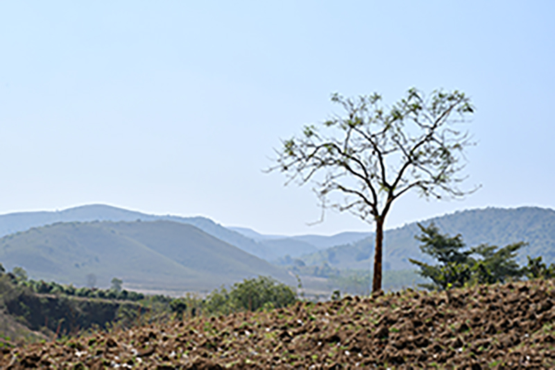 Natural Resource Management