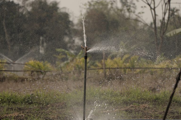 Agriculture